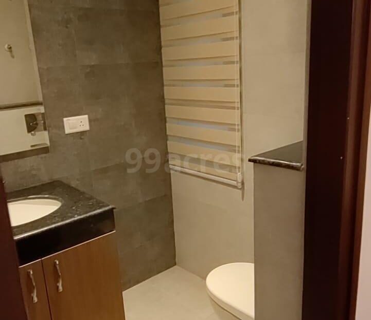 3 bhk flats for Hero Homes Gurugram bathroom